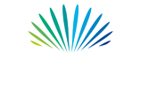 Indian Masala Bar & Grill